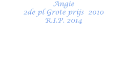 Angie 2de pl Grote prijs  2010 R.I.P. 2014